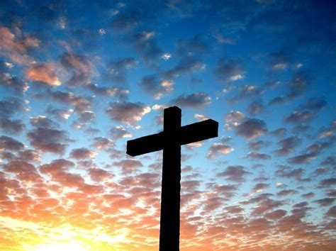 cross2_474×354