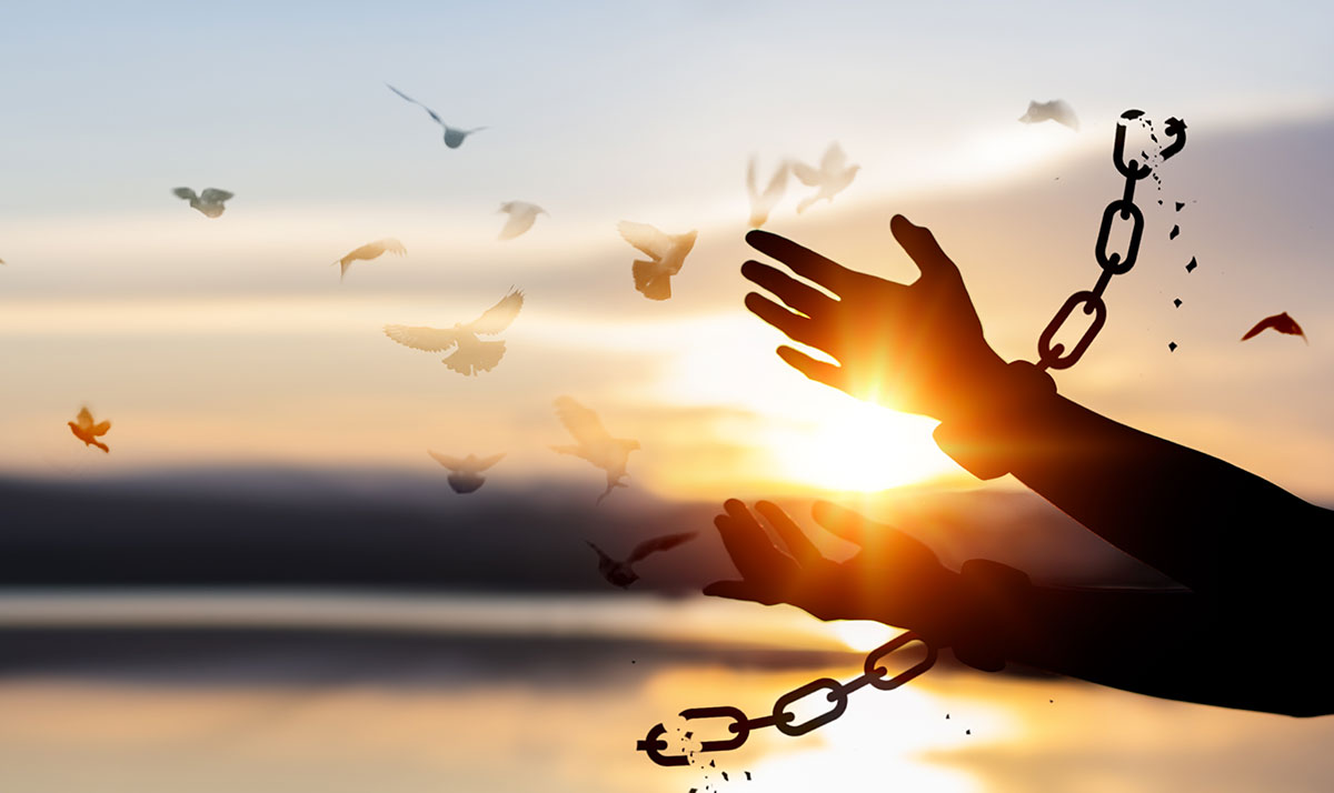 freedom-chains freedom-chains