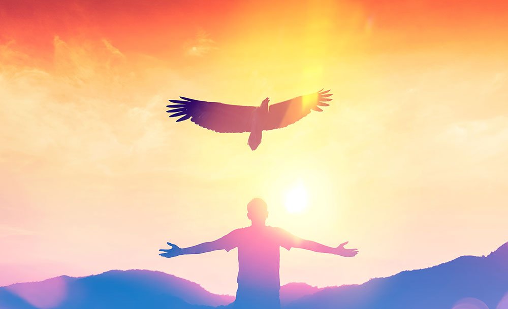 freedom-eagle-1 freedom-eagle-1